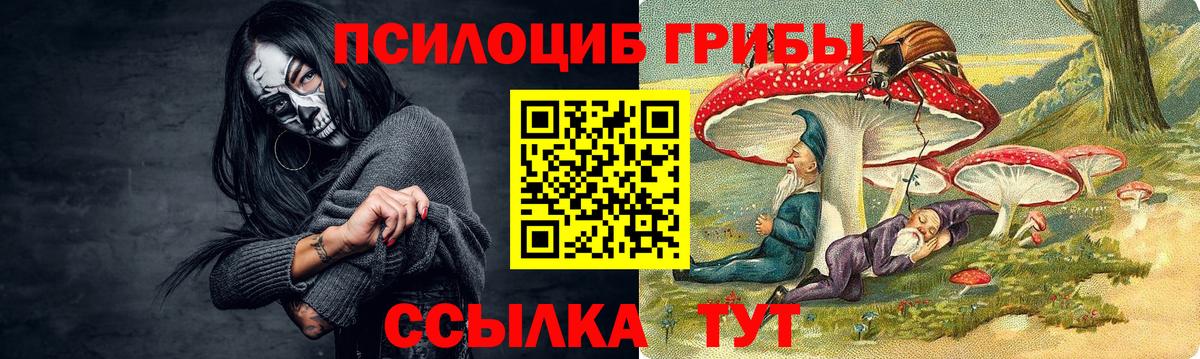 Галлюциногенные грибы Psilocybine cubensis  Вход с VPN  Похвистнево 