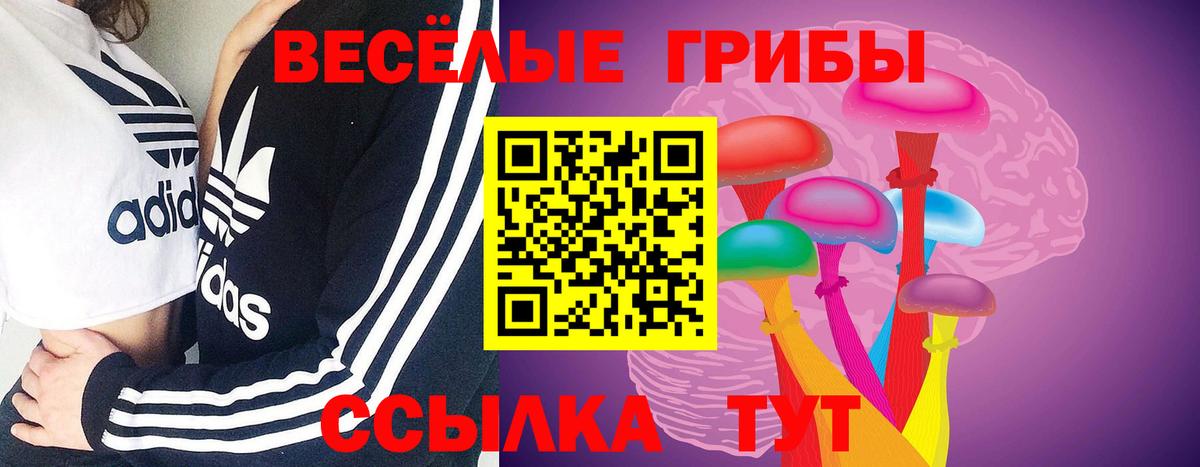 Галлюциногенные грибы мицелий Похвистнево